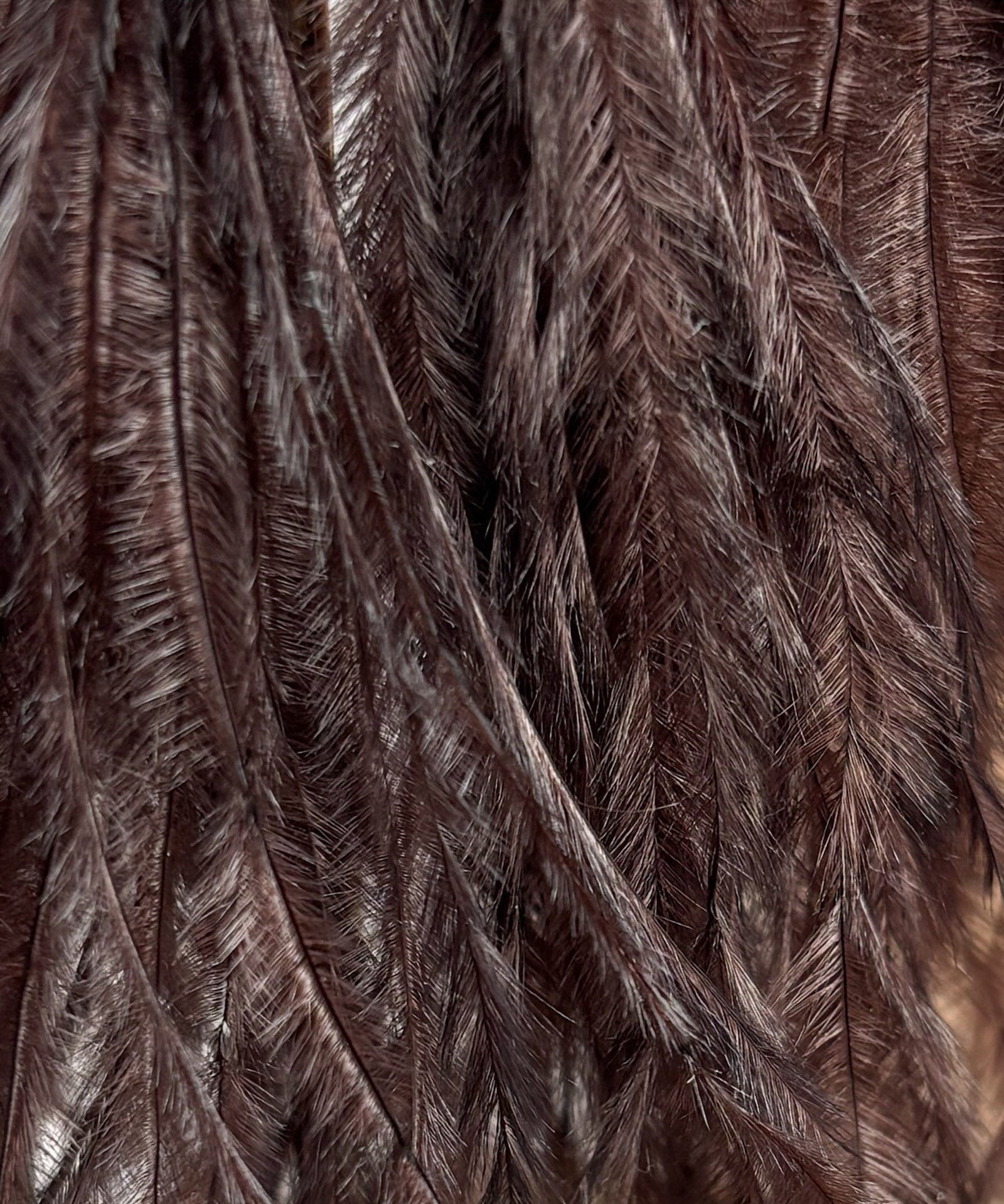 Feather Tassels Chocolate