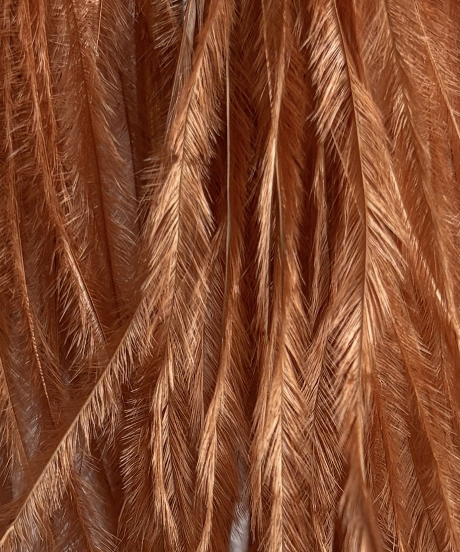 Feather Tassels Bronze
